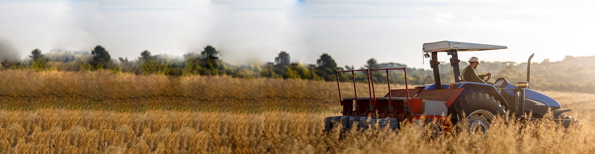 Asesoramiento financiero en Agricultura y Ganadería - Hombre con sombrero manejando un tractor en el campo