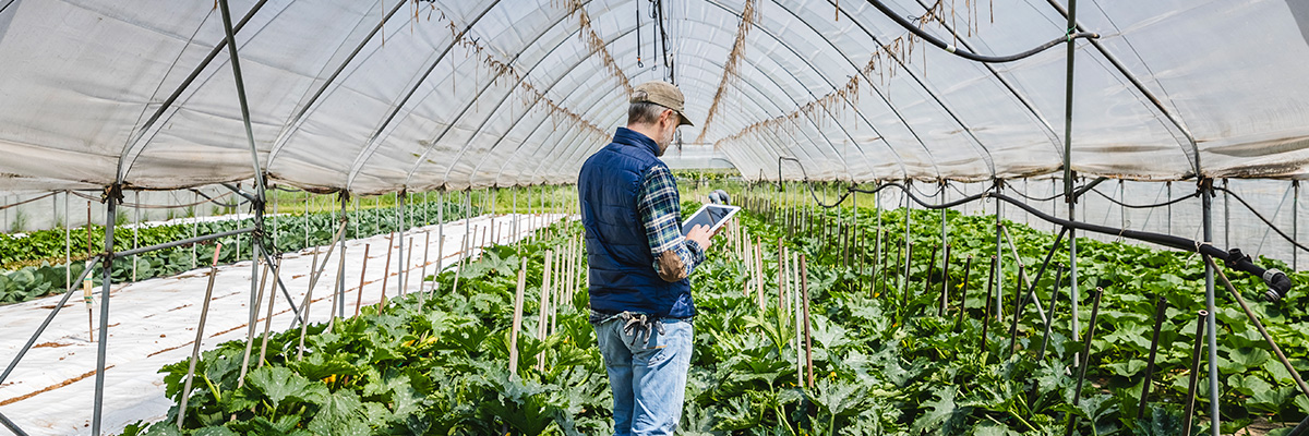 Financiación agraria - Convenios Mejora Convenios Mejora Globalcaja