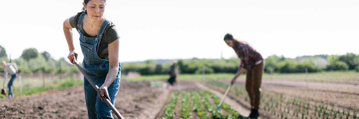 Financiación agraria Globalcaja