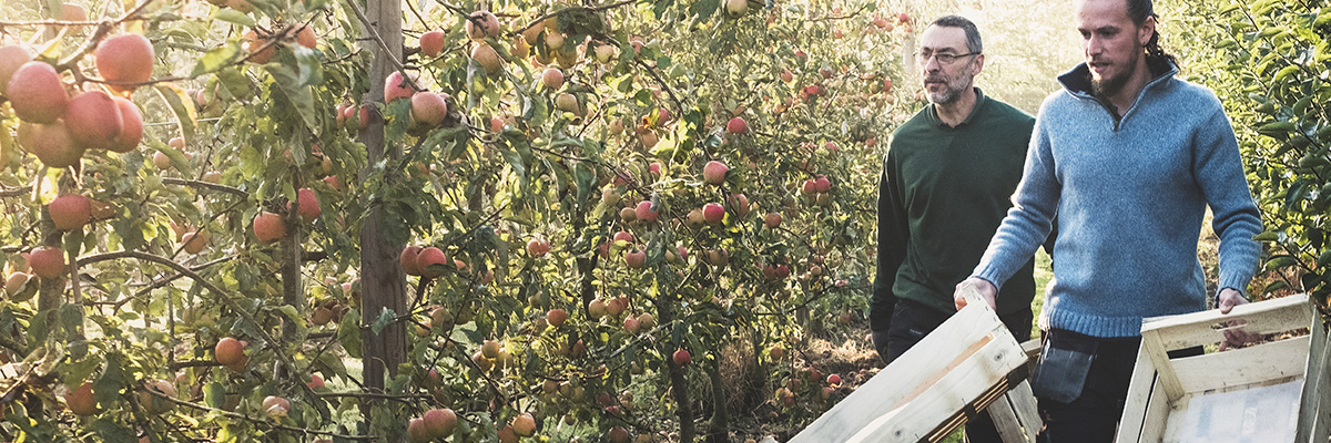 Seguro Frutales Seguro Frutales Globalcaja