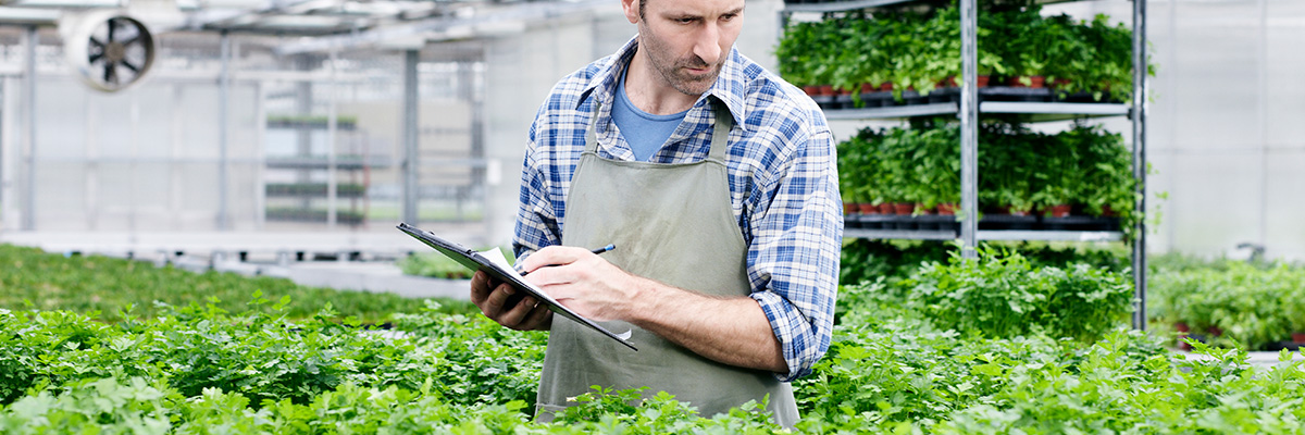 seguros herbáceos Globalcaja