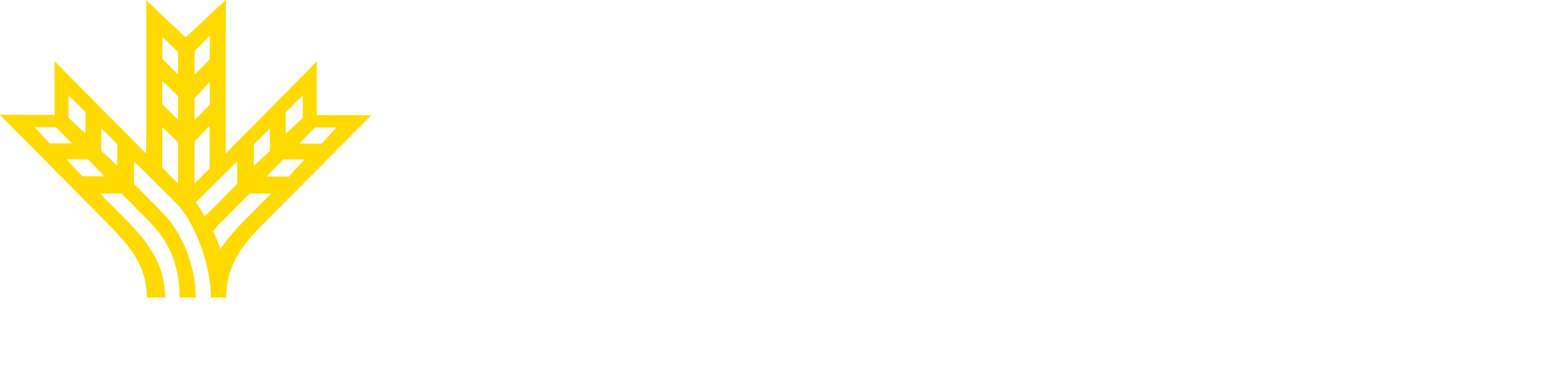 Logo_rectangular_blanco_fondo_transparente