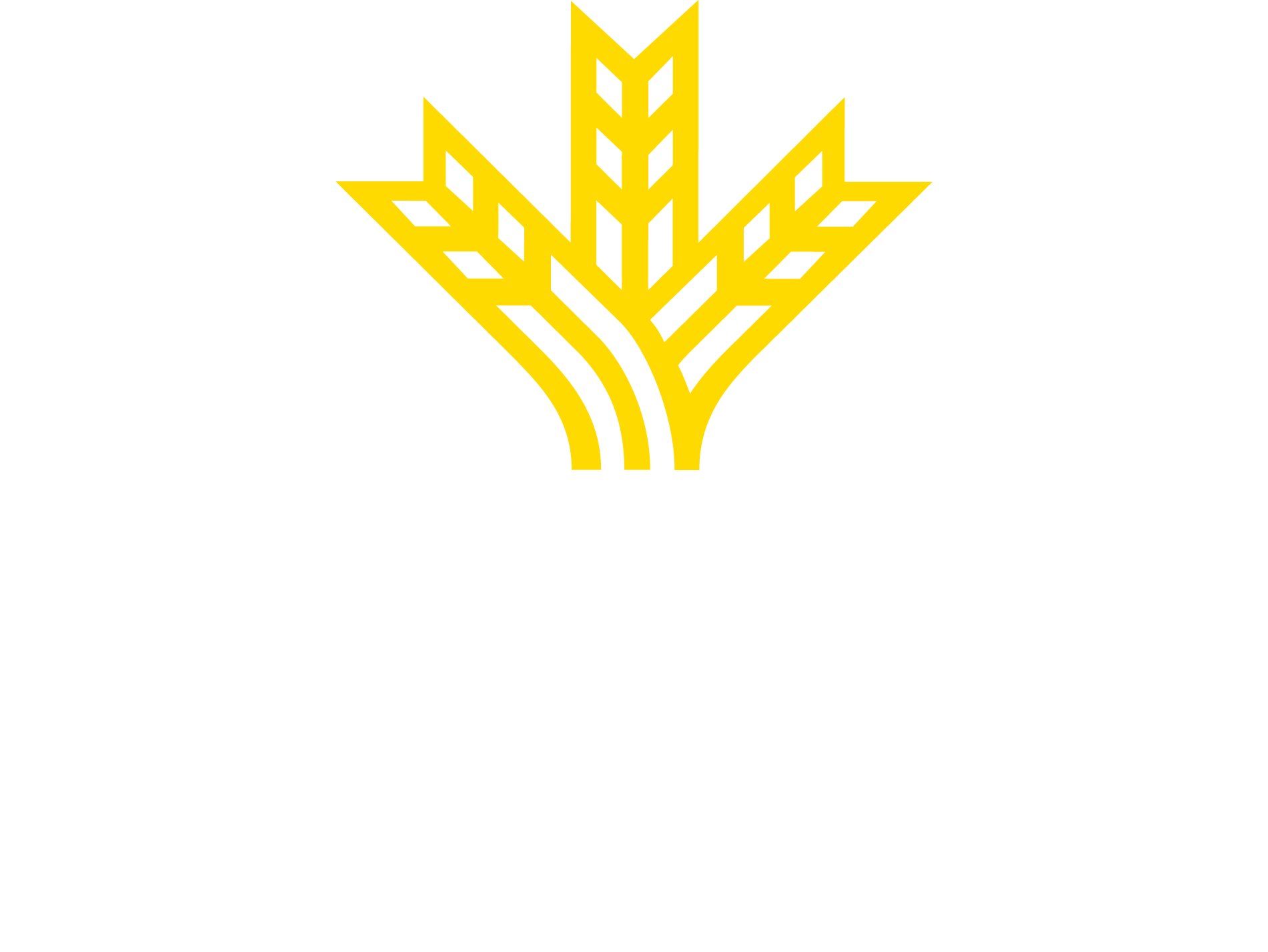 logo globalcaja blanco