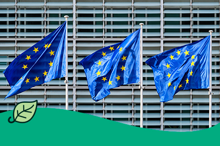 banderas europeas fondos next generation ayudas públicas